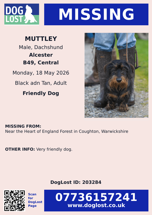 millypod1's tweet photo. 🆘18 MAY 2026 #Lost Muttley #ScanMe
Dachshund Male #SausageArmy
Near the Heart of England Forest in #Coughton #Alcester #Warwickshire #B49
https://t.co/MOVwD3BLcF https://t.co/vCzqYSGqyt