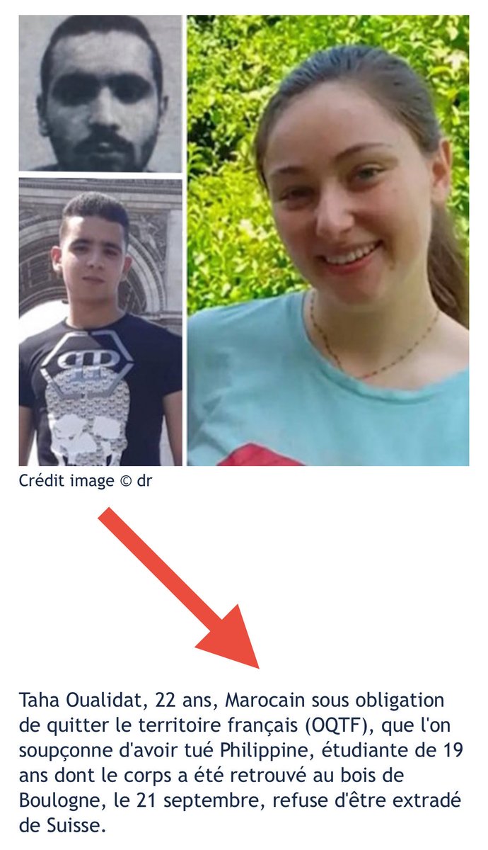 User tweet media