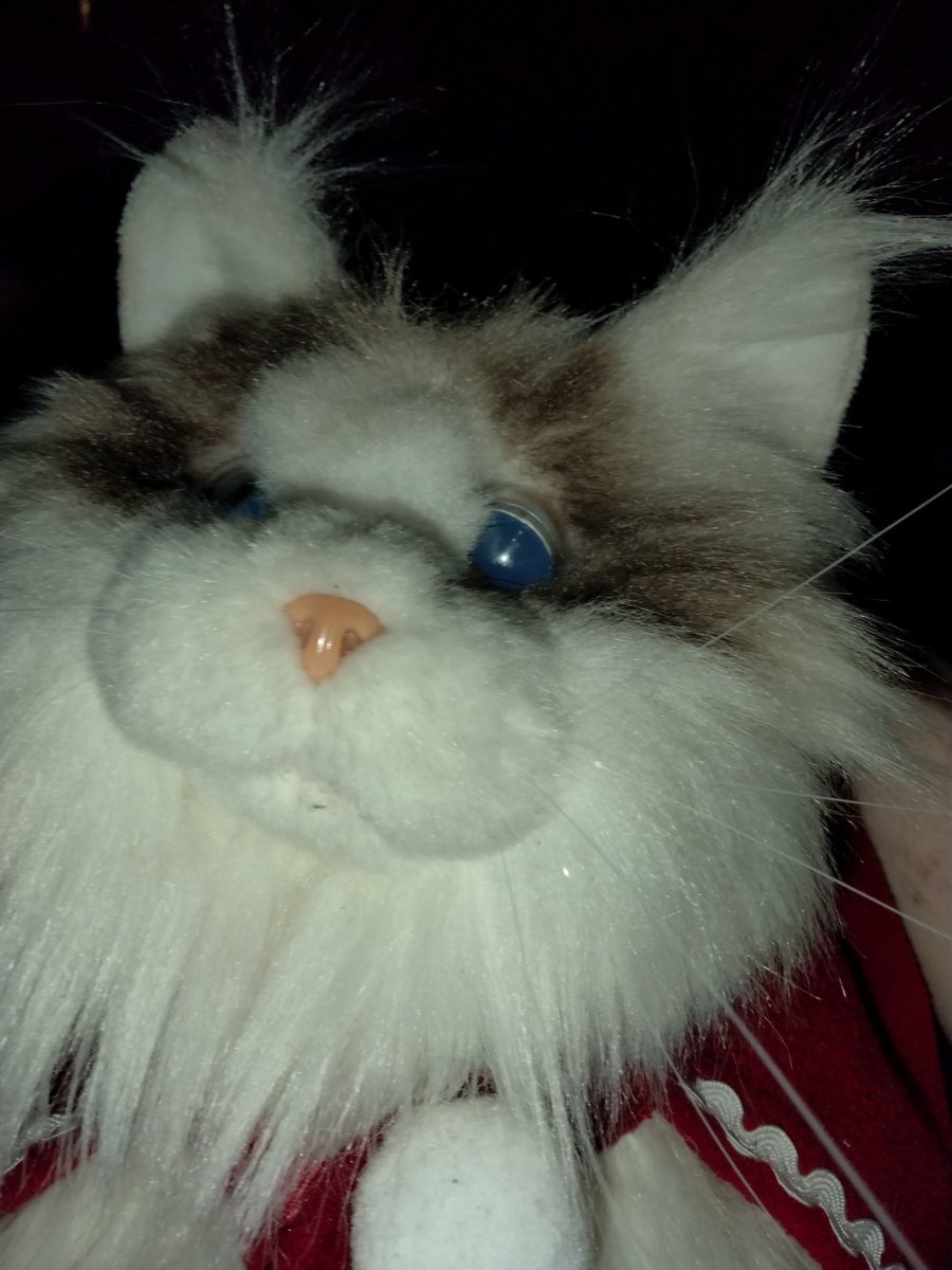CandleFlaming's tweet photo. My new Meta cat robot https://t.co/7i97ih0gRR