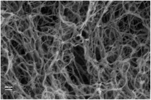 miolini's tweet photo. It's looks like aerogel under microscope https://t.co/TvOeSFdOZU