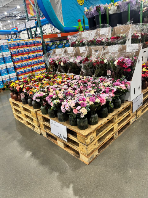 IntFreshProduce's tweet photo. Mother's Day is one of the most significant moments of the year for the #floral industry — and once again, our members rose to the occasion. https://t.co/flVL5JEyL3
#flowers https://t.co/LriZ5RvfSm