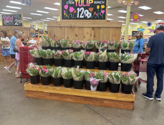IntFreshProduce's tweet photo. Mother's Day is one of the most significant moments of the year for the #floral industry — and once again, our members rose to the occasion. https://t.co/flVL5JEyL3
#flowers https://t.co/LriZ5RvfSm