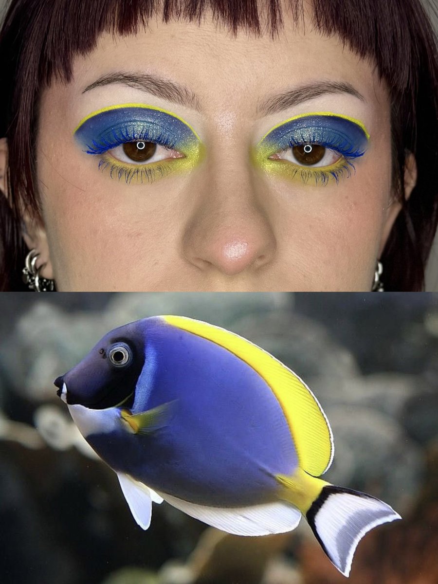 interlvdium's tweet photo. pov t’adores les poissons donc t’en fais une série de makeup
ig/tiktok: jaamxart https://t.co/S1MOUIeHDb