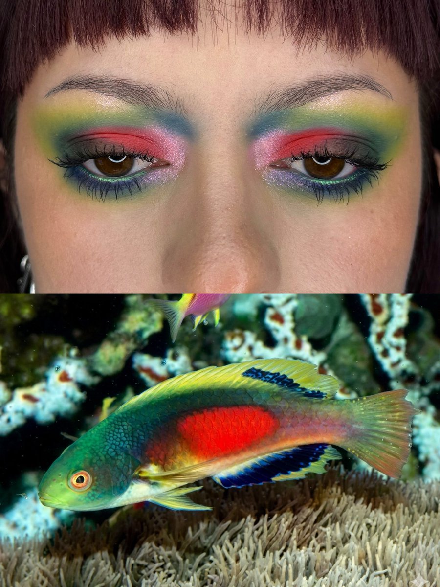 interlvdium's tweet photo. pov t’adores les poissons donc t’en fais une série de makeup
ig/tiktok: jaamxart https://t.co/S1MOUIeHDb