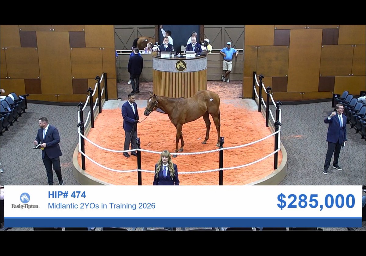 PerfectSoulIRE's tweet photo. This BEE JERSEY colt just went through the ring for $285,000. https://t.co/ZV4Fobpy0o