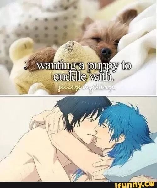 aoba seragaki tweet media