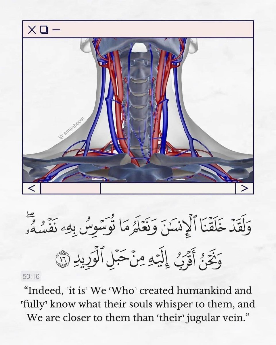 مغفرة tweet media