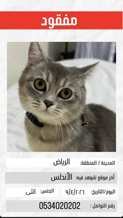 تطبيق مفقود tweet media