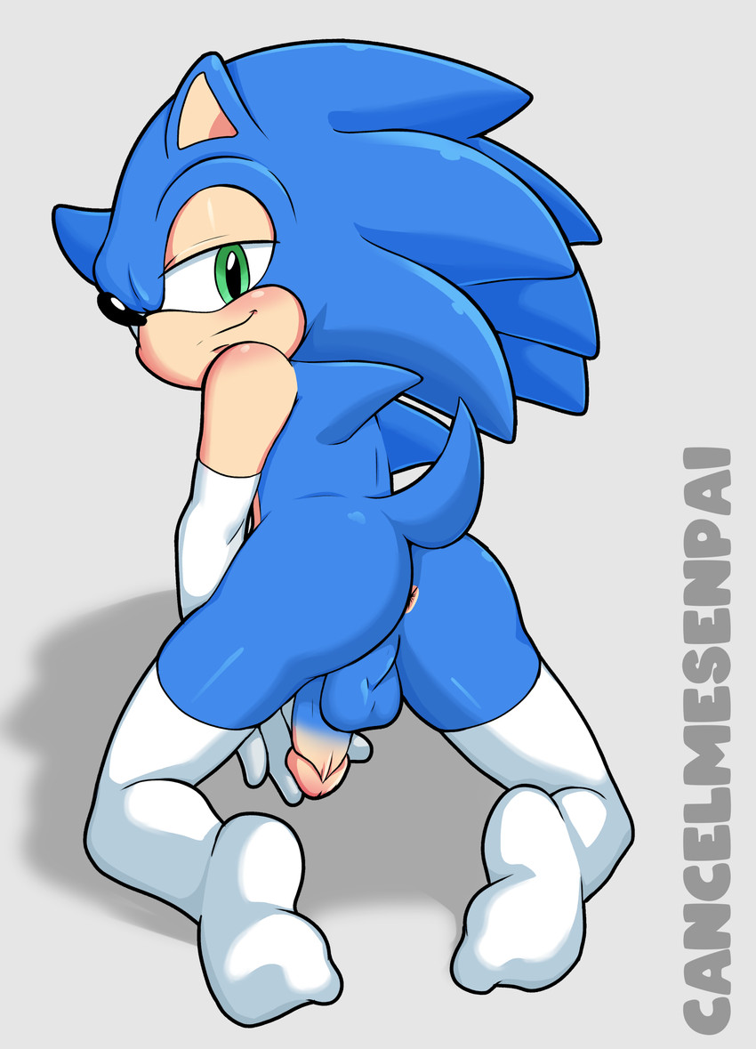 dumbassfirebun's tweet photo. Hey, can you keep up with me~?

Sonic the Hedgehog

100%sub

Pan(Futas, Men, Women,etc. Are welcome)

Dms open

Info Below

♥️+🔁 https://t.co/rdfNbpQdgo