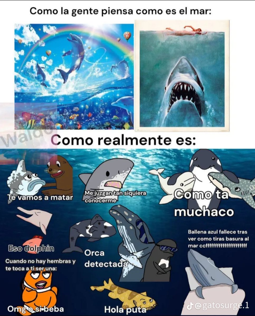 Deoz Hielos #Loneros🏴☠️☢️ tweet media