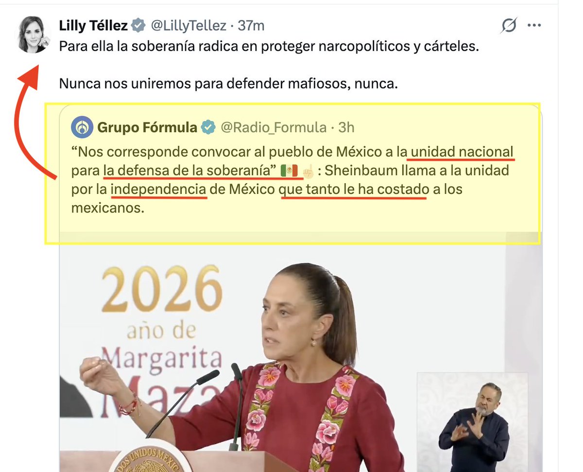 Ana M. Lafon tweet media