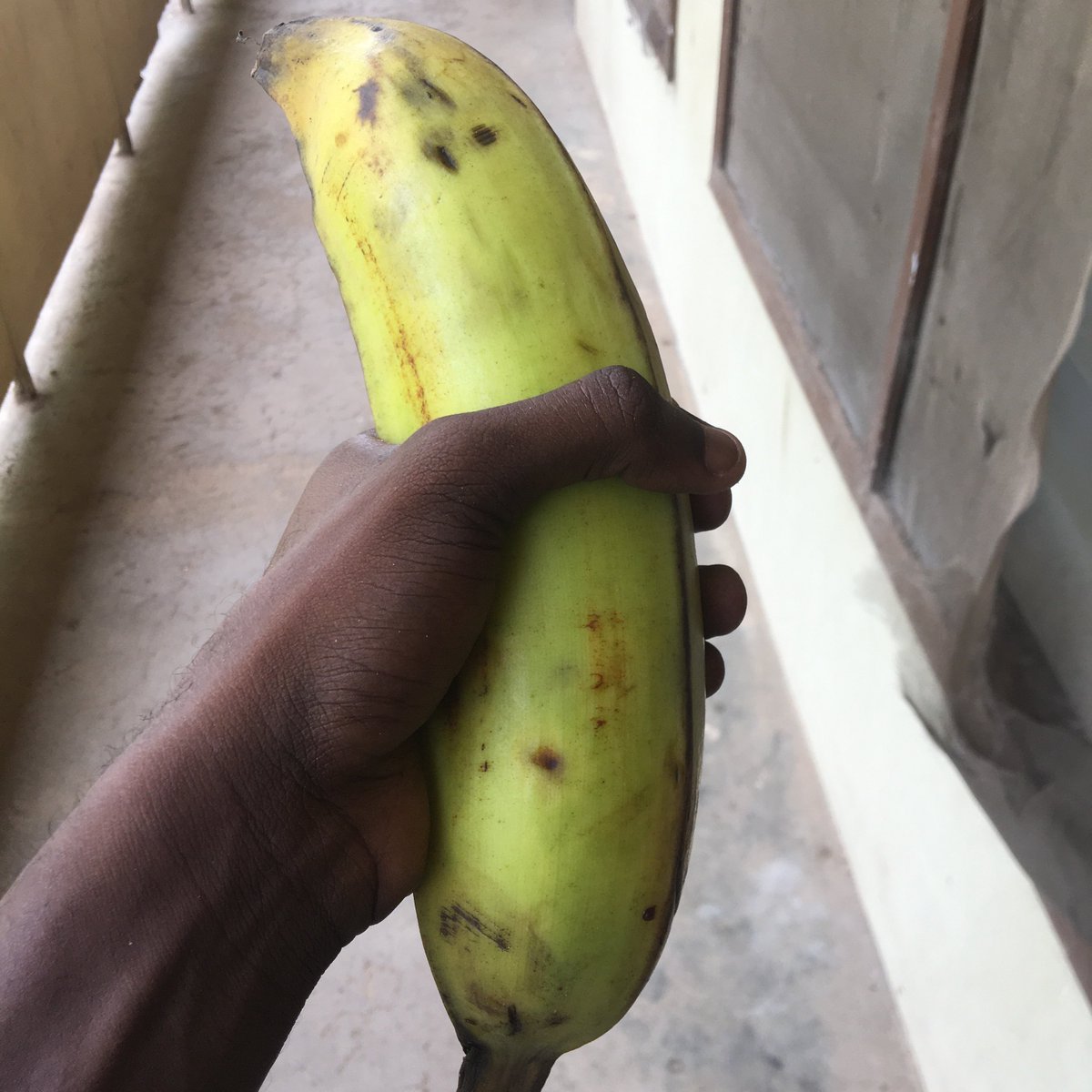 dolapo tweet media