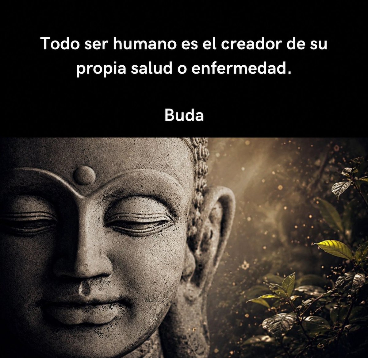 🦉 Filósofo Nocturno tweet media
