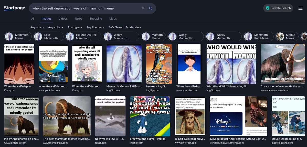 vice ::3c tweet media