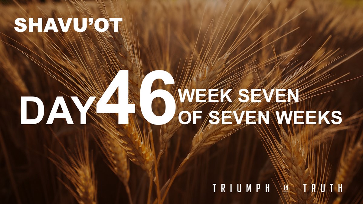 Triumph_Fam's tweet photo. Today is Day 46 of The Seveneth Week of Seven Weeks. https://t.co/k65UMJccIU