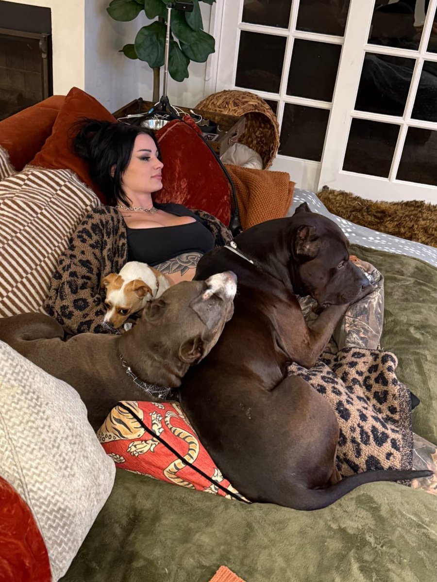 k9 Betty 💞🍆🐕 tweet media