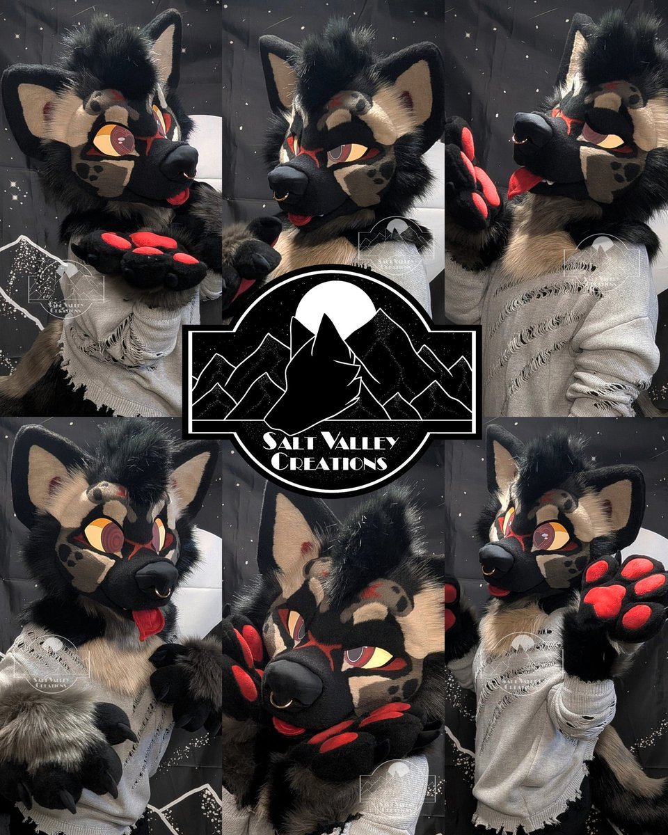 SVCfursuits's tweet photo. This handsome guy is ready for a new home! 🔗⬇️ https://t.co/32Xlw5Jnhs