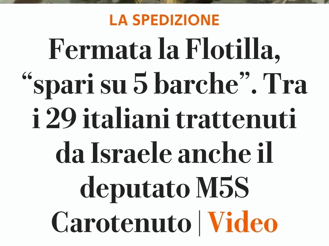 Max Ferrari tweet media