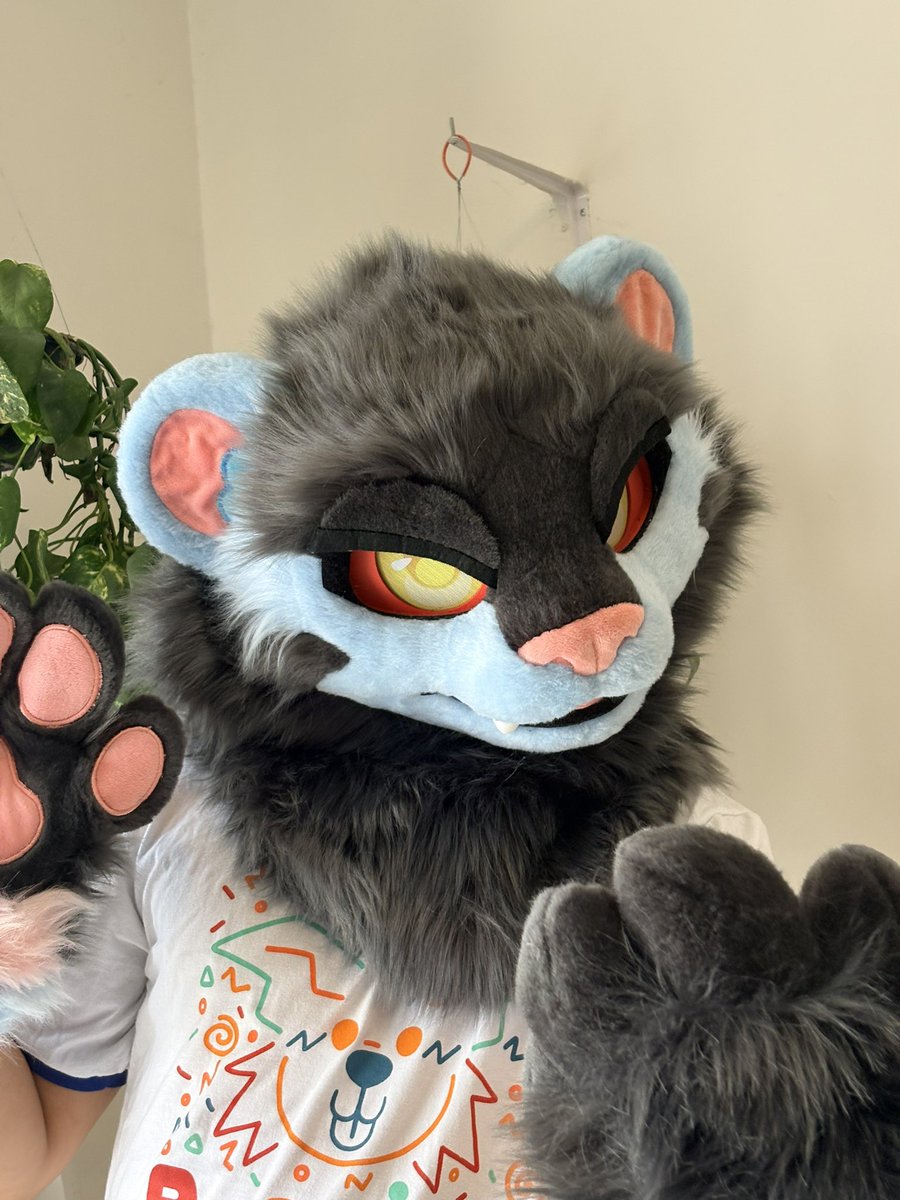⭐️KATSU⭐️ tweet media