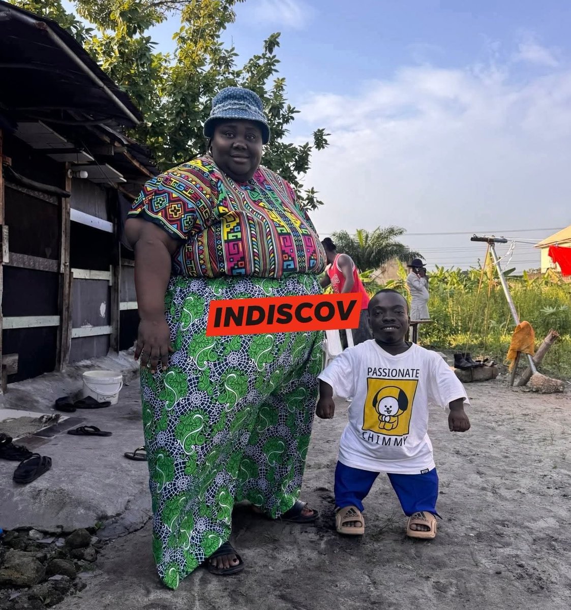 Indiscov tweet media