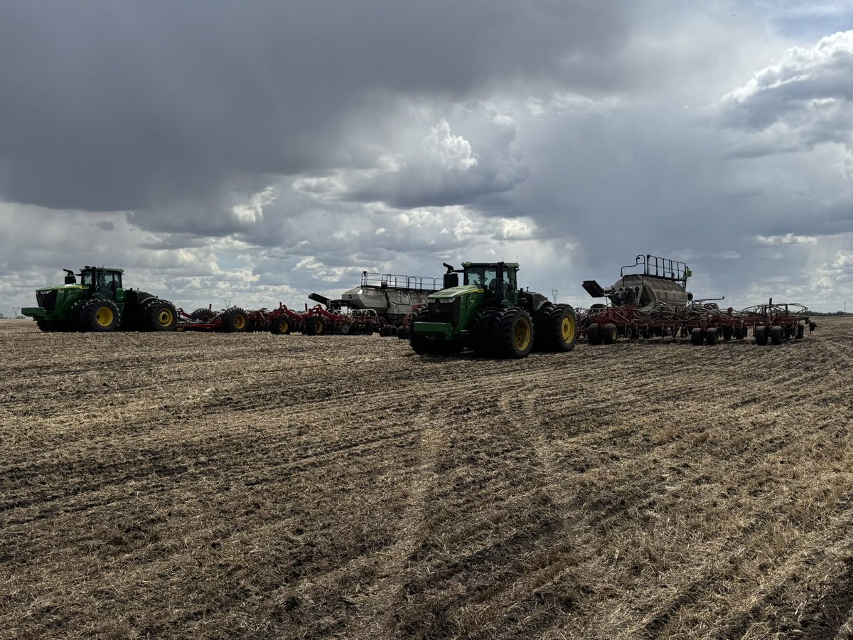 KarsonGridley's tweet photo. LL Canola Trial🌱 https://t.co/T1ZtkmBrSR