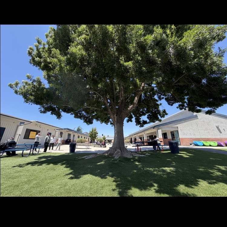 mojaveCoyotes's tweet photo. What a beautiful day at Mojave High! 
And the last day for our seniors! 
Congratulations seniors! https://t.co/yVkVJK3RnX