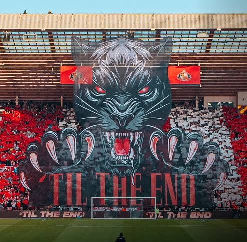 WTFSunlunPod's tweet photo. LFG 👊

#SAFC https://t.co/NoLbQ3OTNB