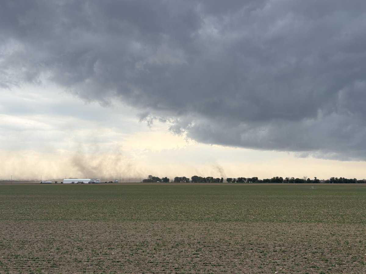 CraigDunmore's tweet photo. Interesting radar grab from yesterday’s dust storm just east of Leamington. I wonder what today will have in store? We shall see! https://t.co/fQ24VYCfhH
