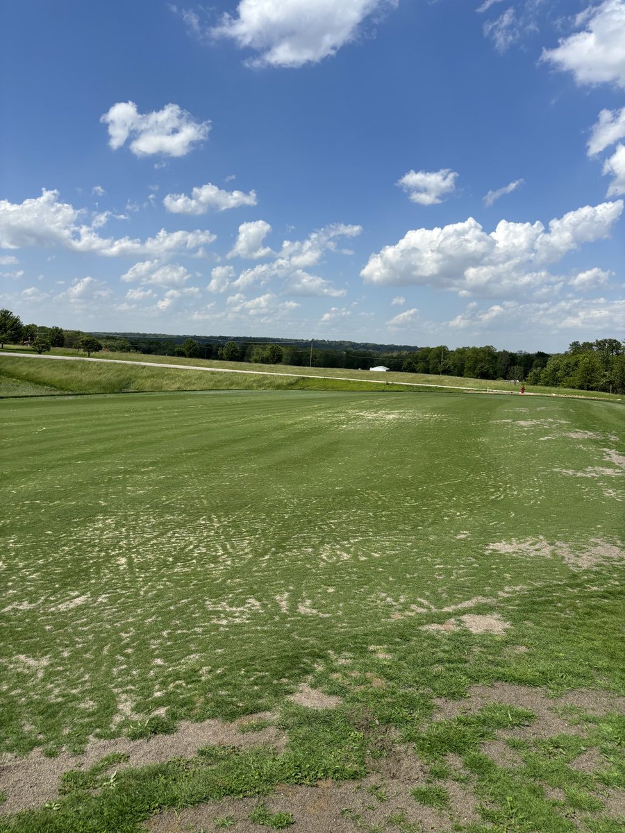 OSU_ATI_Turf's tweet photo. Research plots making progress and our par 3 green and tee starting to fill in - progress. https://t.co/oSIetKNFUI