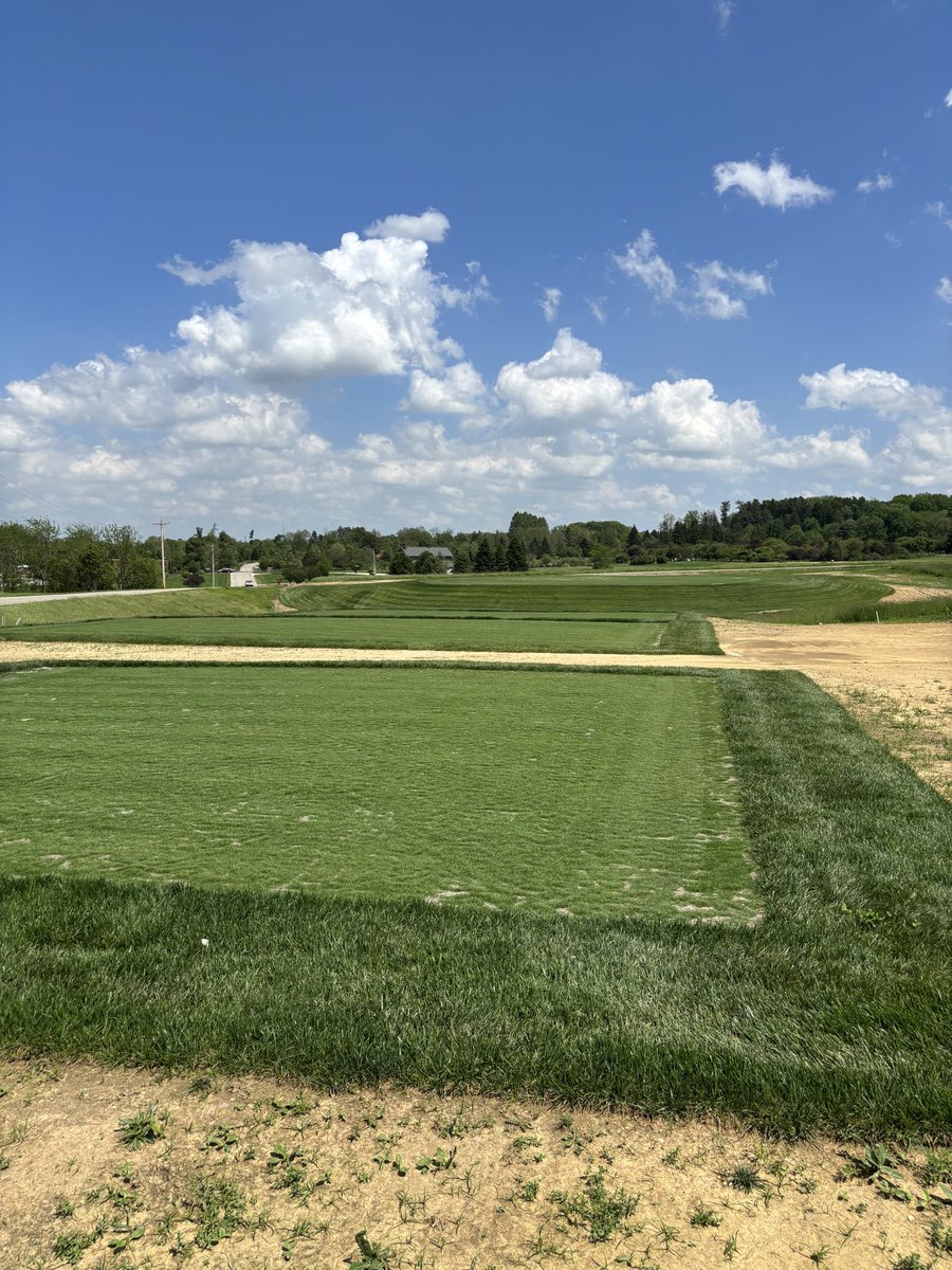 OSU_ATI_Turf's tweet photo. Research plots making progress and our par 3 green and tee starting to fill in - progress. https://t.co/oSIetKNFUI