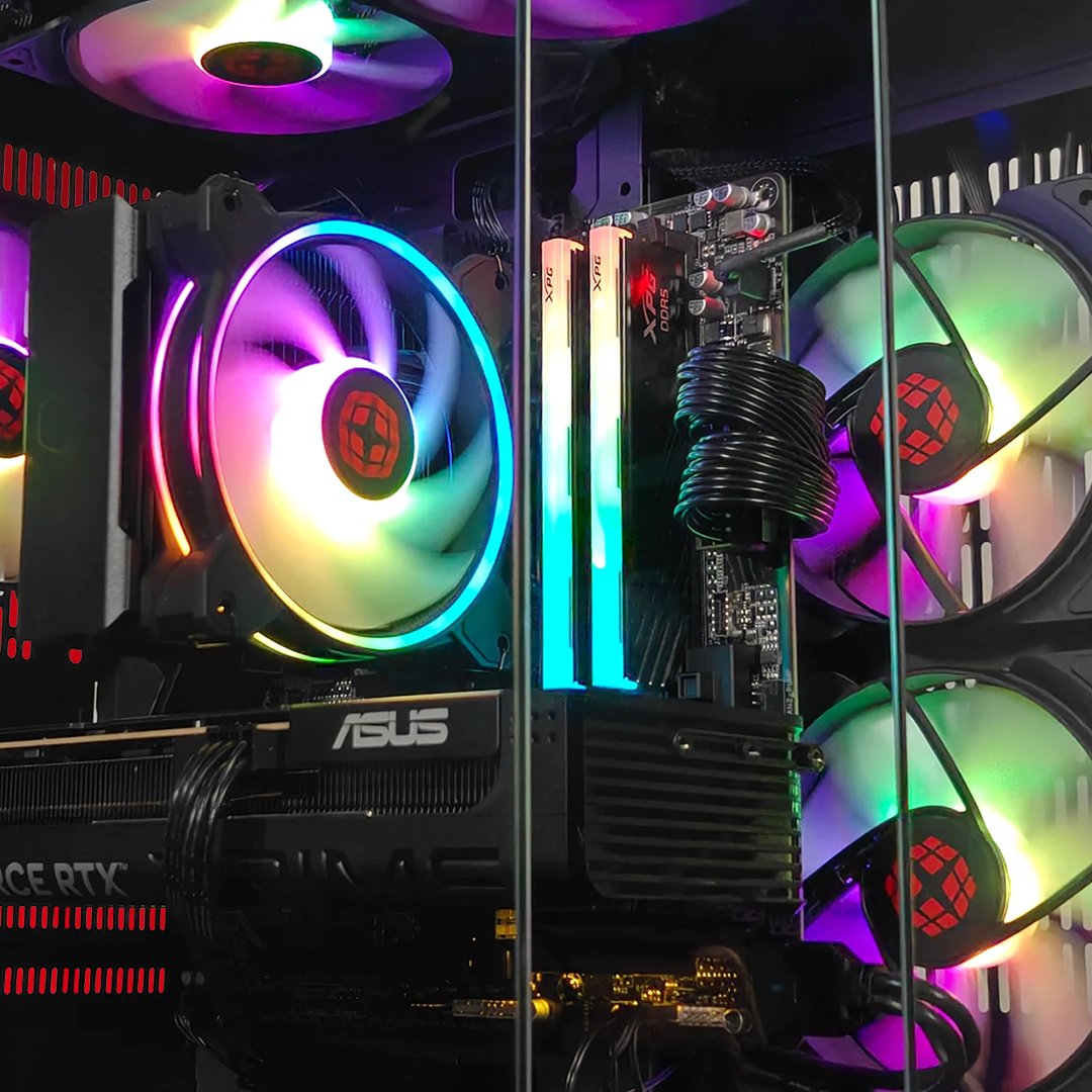 XOTIC PC tweet media