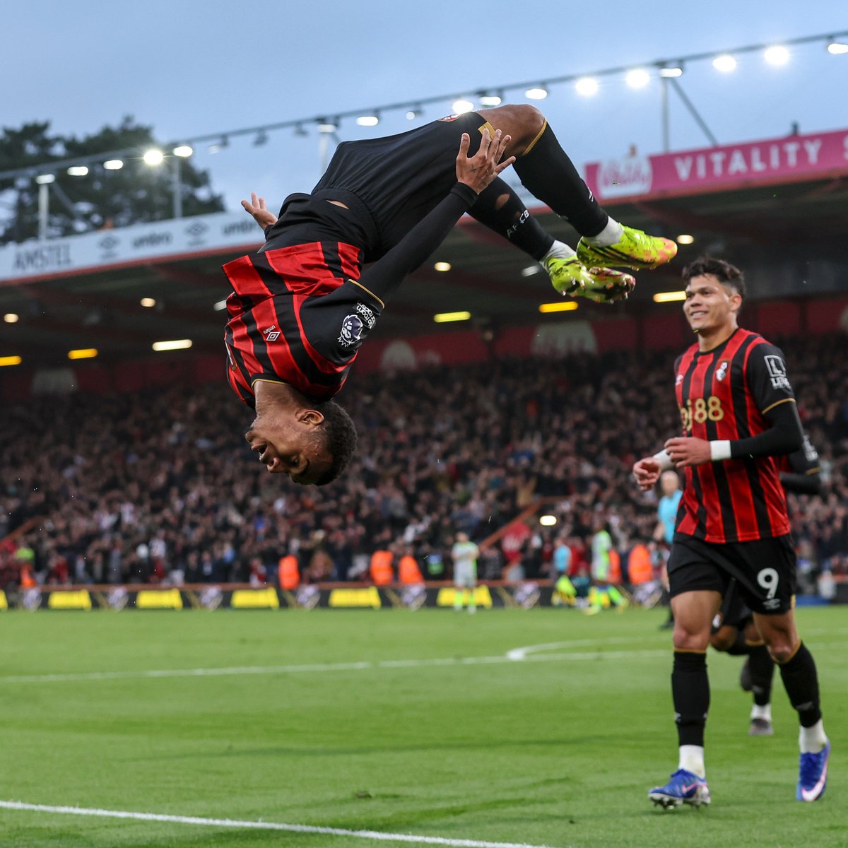 AFC Bournemouth 🍒 tweet media