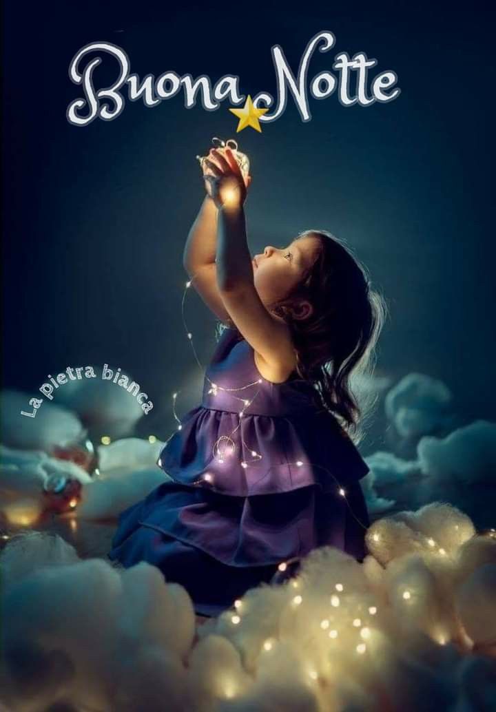 Meri☀️🌸🥀🪺🐾🌈 tweet media