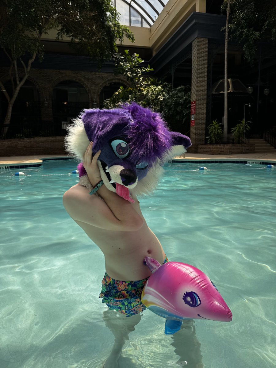 SaftFoxBoy's tweet photo. Such a cunty lil guy🐬 😵‍💫 https://t.co/oakRyNzQjY