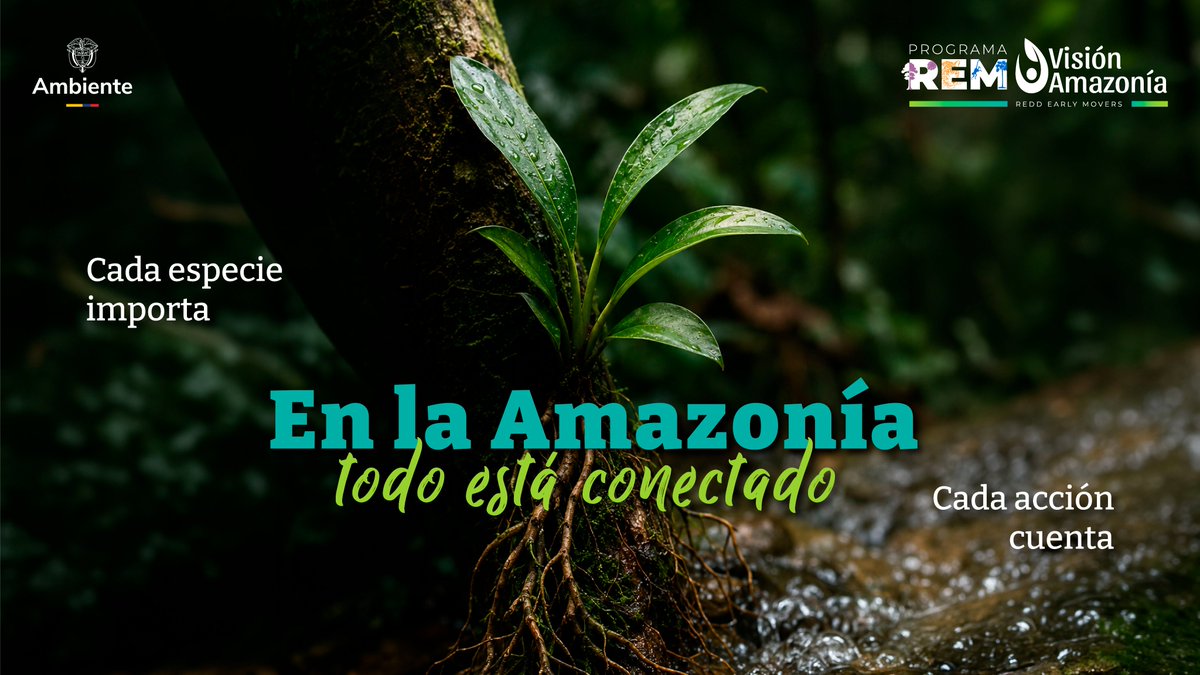 REM Colombia - Visión Amazonía tweet media