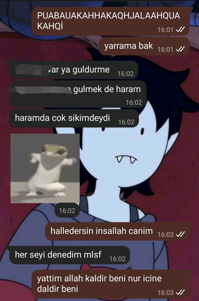 betul星 tweet media
