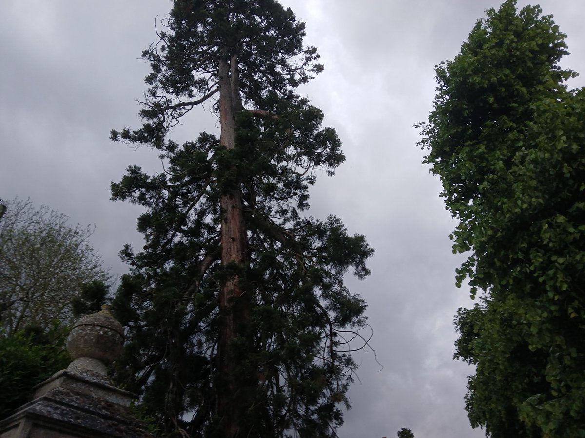 fragilesadgirl4's tweet photo. https://t.co/khYdoVOIZ9