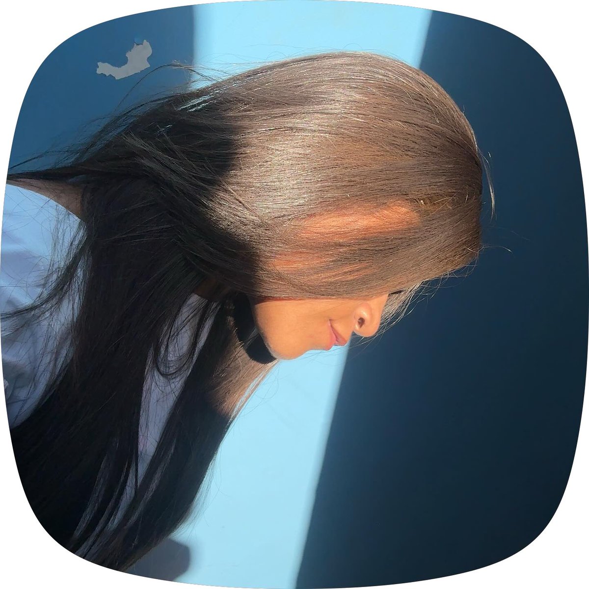ely tweet media