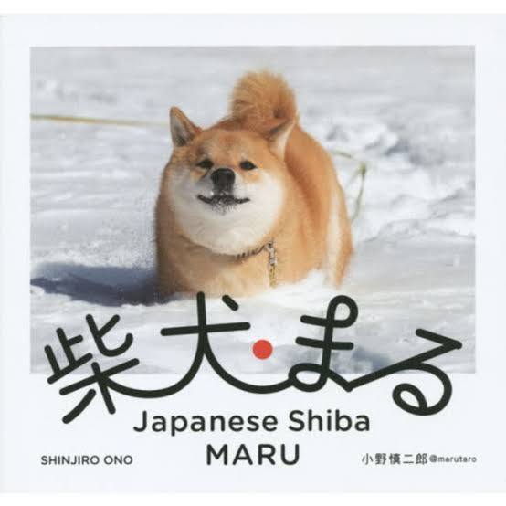 MARUTARO tweet media