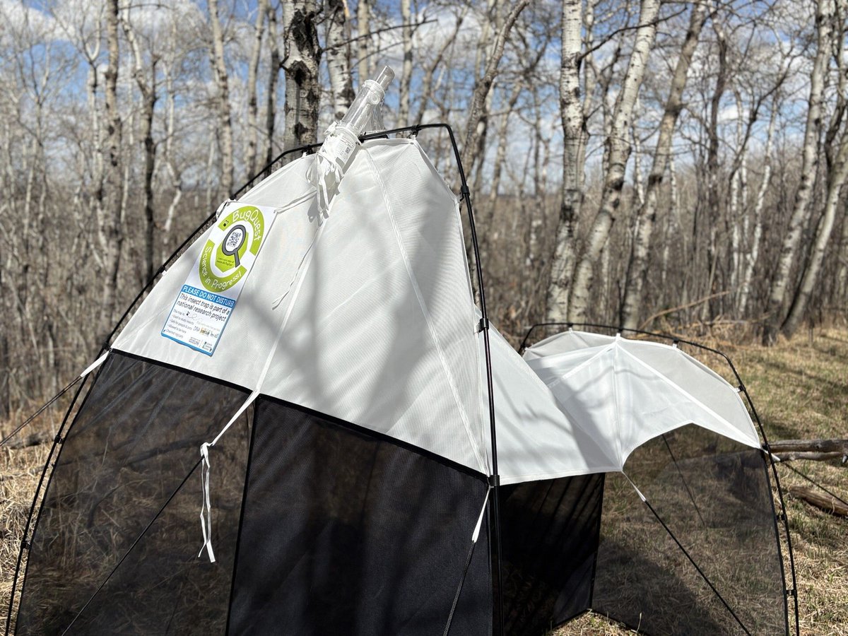 ASCConservation's tweet photo. Read the May 2026 edition of Cross Conservation News to find out what's buzzing at ASCCA 🌼 🐝 https://t.co/HUEgmL0bUt https://t.co/junKEMS1HR
