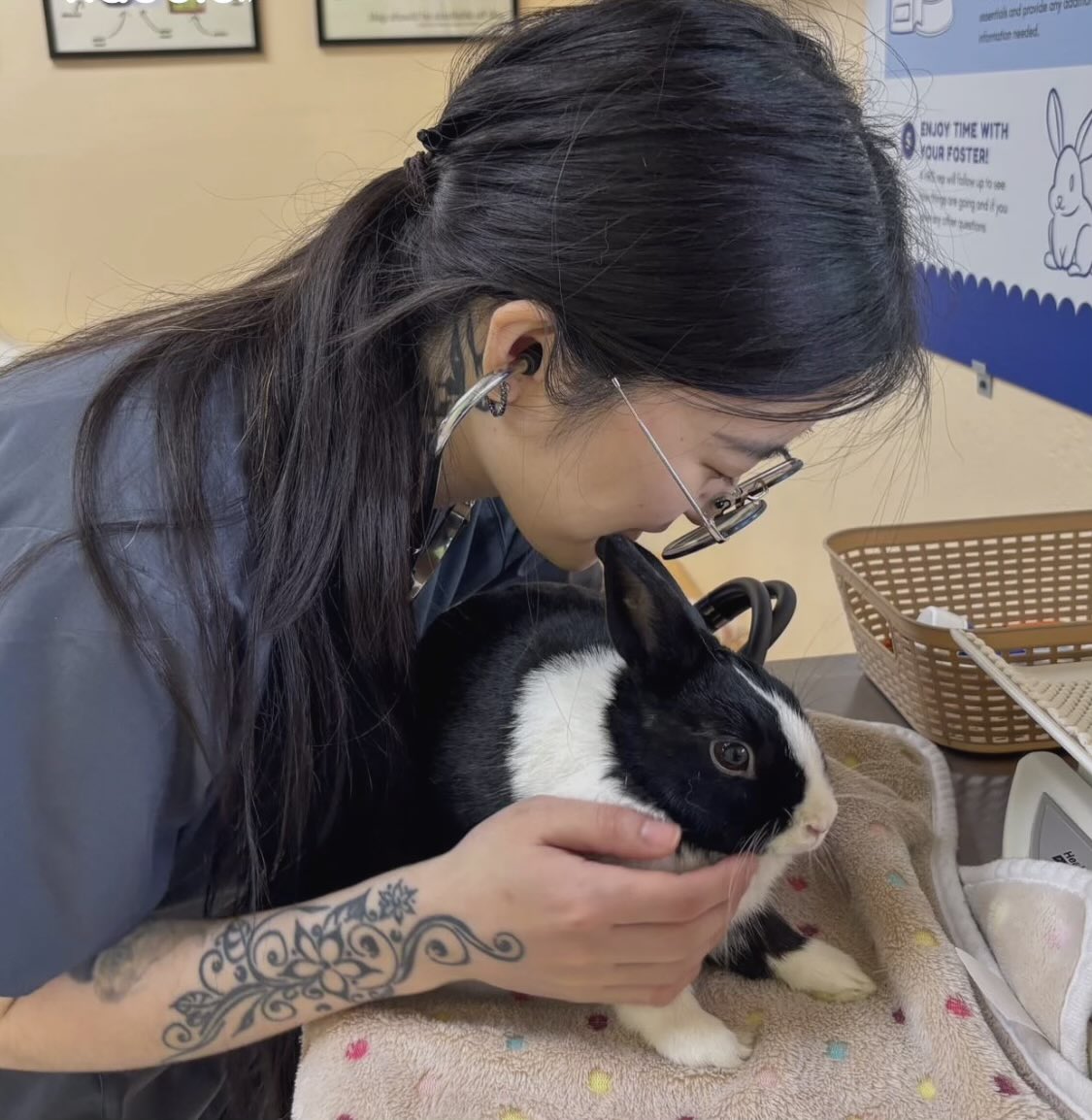 House Rabbit Society tweet media