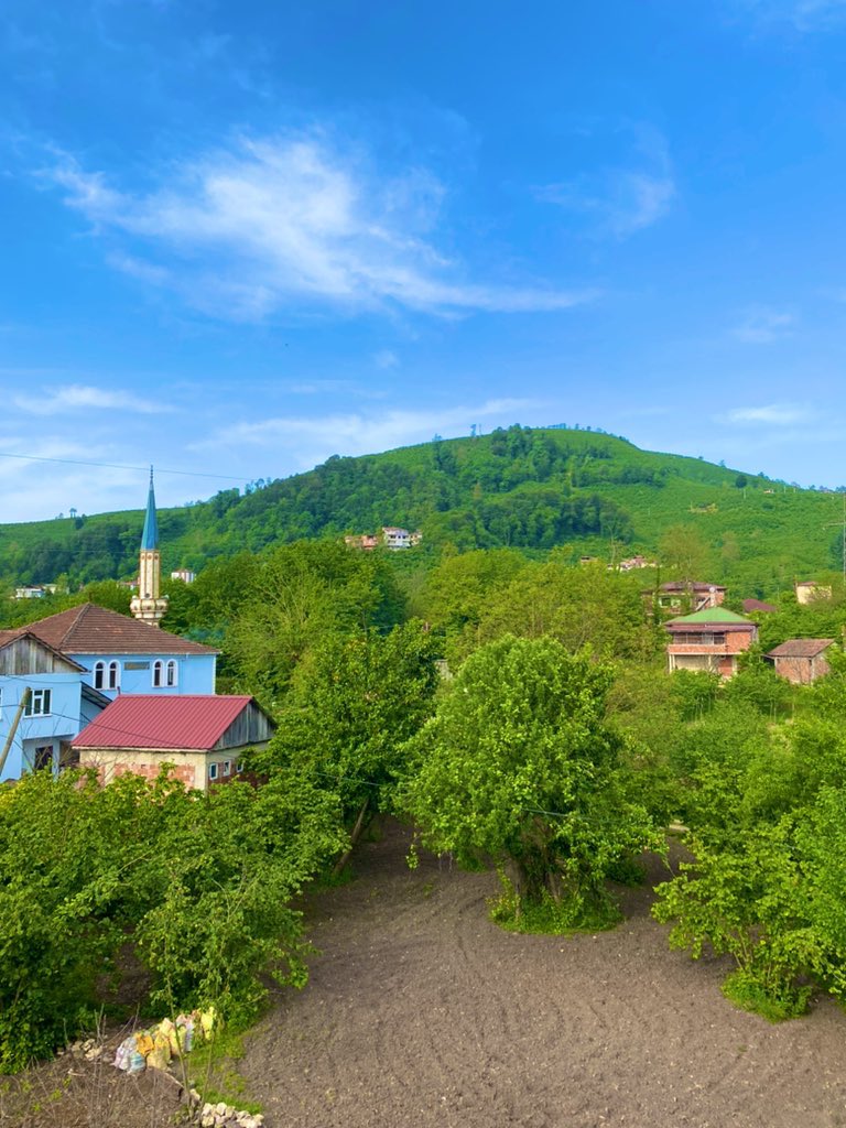 brhnblli's tweet photo. Tıpta yeri yok ama Karadeniz iyileştirir https://t.co/0nW8aYKhs5