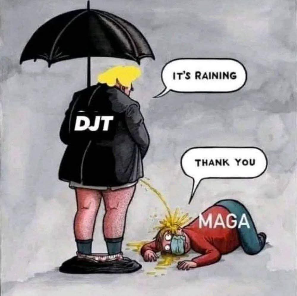 Hubbyswhore's tweet photo. @Nervzous @LePapillonBlu2 Says the hick that worships a pedophile conman 🤣 https://t.co/1epKP8Sgi5