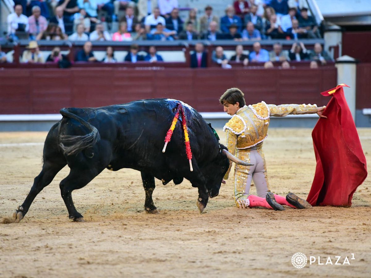 Blog Casta y Bravura tweet media