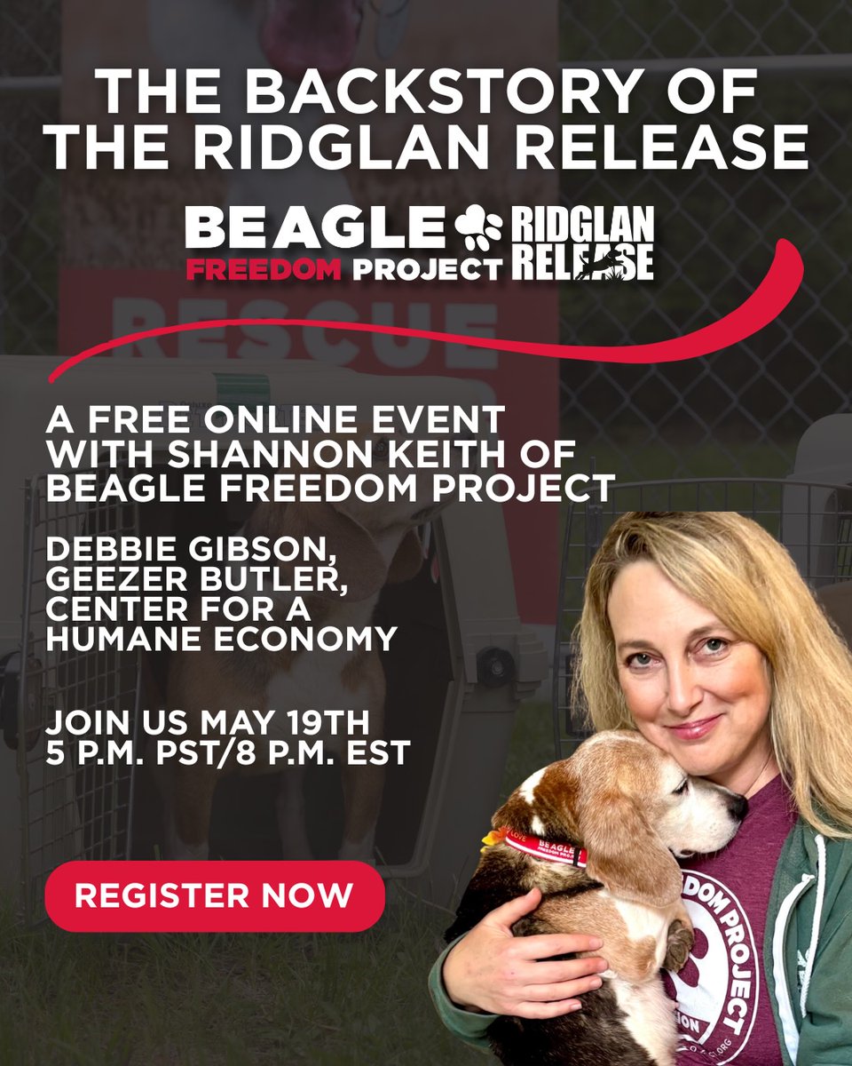 beaglefreedom's tweet photo. What’s next for the Ridglan beagles? 🐶

Join Shannon Keith of BFP, Center for a Humane Economy, Debbie Gibson, &amp; Geezer Butler tonight in an online webinar about the release &amp; the next steps for ending animal testing.

May 19th, 5 PM PST 
Register now: https://t.co/tBUcOPJUp6 https://t.co/qMw1GVoNtG