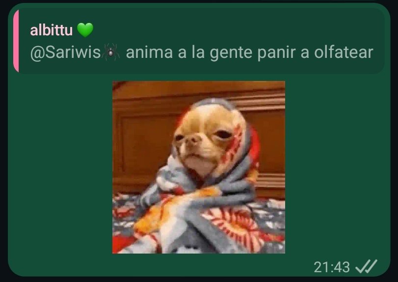 sariwis🕷️ tweet media