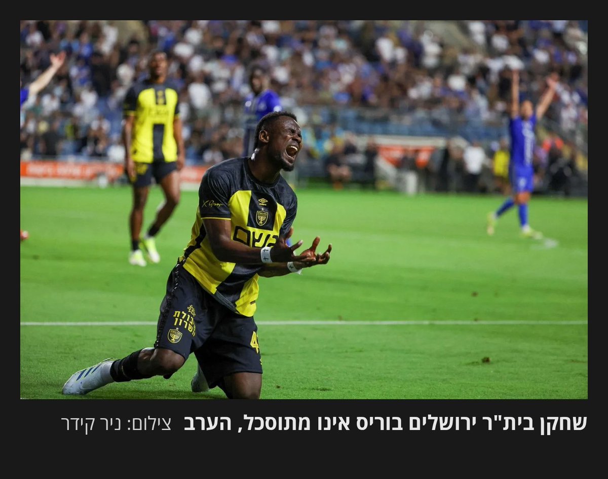 Yoav Malkin tweet media