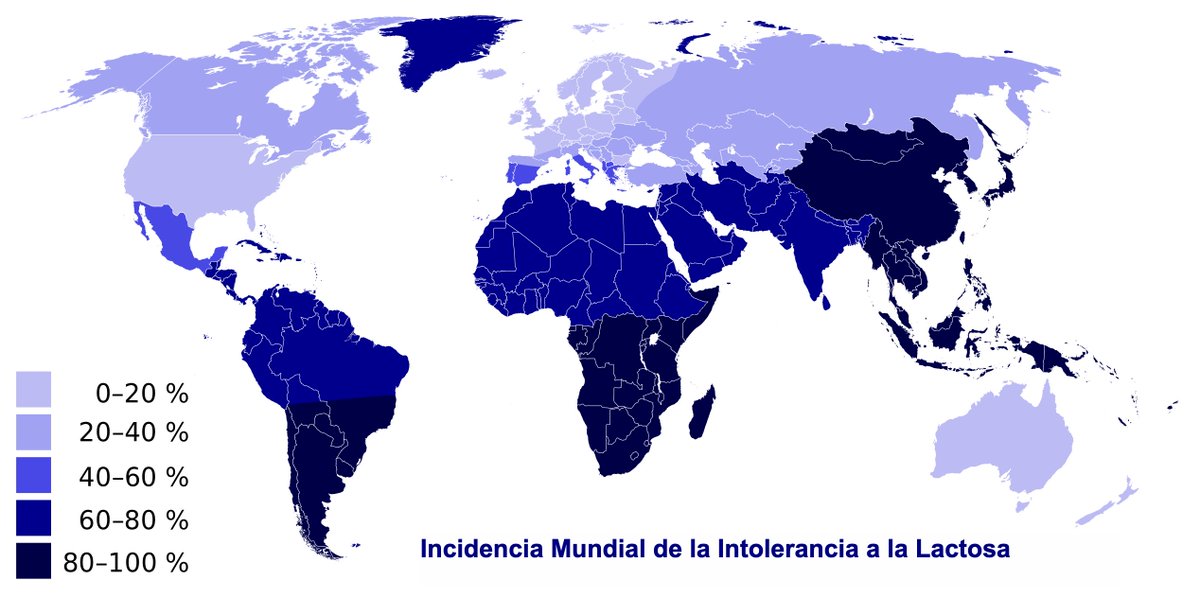 El Tuca tweet media