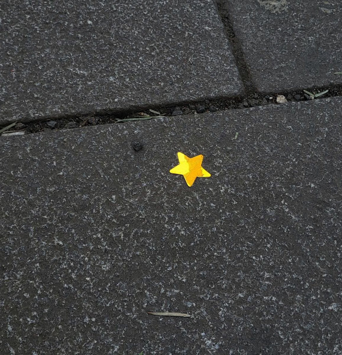 🌟 tweet media