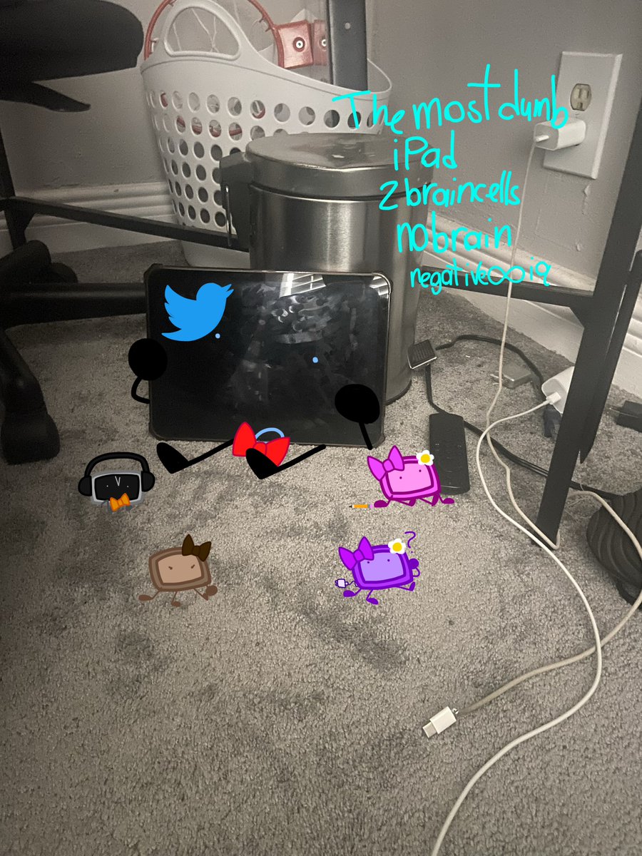 iPad tweet media